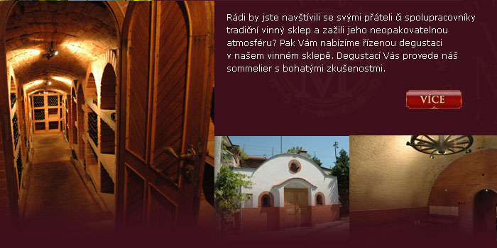 Vánoční akce - Vinum Moravicum a.s.
