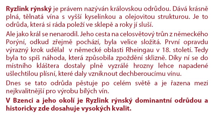 Vinum Moravicum